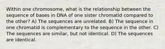 Within one chromosome, what is the relationship between the sequence of bases in DNA of one sister chromatid compared to the other? A) The sequences are unrelated. B) The sequence in one chromatid is complementary to the sequence in the other. C) The sequences are similar, but not identical. D) The sequences are identical.