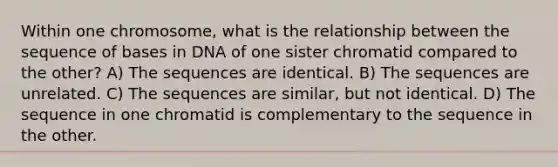 Within one chromosome, what is the relationship between the sequence of bases in DNA of one sister chromatid compared to the other? A) The sequences are identical. B) The sequences are unrelated. C) The sequences are similar, but not identical. D) The sequence in one chromatid is complementary to the sequence in the other.