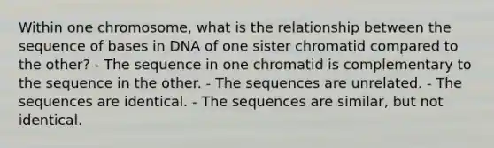 Within one chromosome, what is the relationship between the sequence of bases in DNA of one sister chromatid compared to the other? - The sequence in one chromatid is complementary to the sequence in the other. - The sequences are unrelated. - The sequences are identical. - The sequences are similar, but not identical.