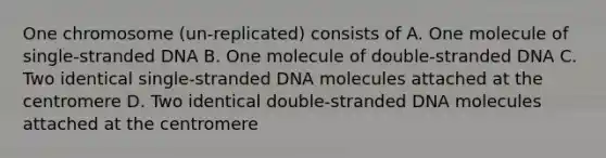 One chromosome (un-replicated) consists of A. One molecule of single-stranded DNA B. One molecule of double-stranded DNA C. Two identical single-stranded DNA molecules attached at the centromere D. Two identical double-stranded DNA molecules attached at the centromere