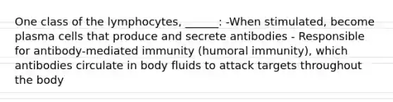 One class of the lymphocytes, ______: -When stimulated, become plasma cells that produce and secrete antibodies - Responsible for antibody-mediated immunity (humoral immunity), which antibodies circulate in body fluids to attack targets throughout the body