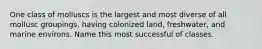One class of molluscs is the largest and most diverse of all mollusc groupings, having colonized land, freshwater, and marine environs. Name this most successful of classes.