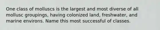 One class of molluscs is the largest and most diverse of all mollusc groupings, having colonized land, freshwater, and marine environs. Name this most successful of classes.