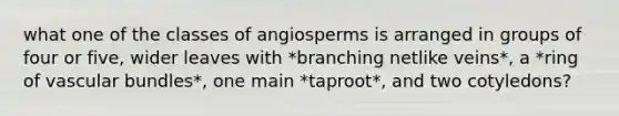 what one of the classes of angiosperms is arranged in groups of four or five, wider leaves with *branching netlike veins*, a *ring of vascular bundles*, one main *taproot*, and two cotyledons?