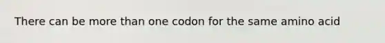 There can be more than one codon for the same amino acid