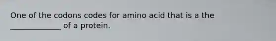 One of the codons codes for amino acid that is a the _____________ of a protein.