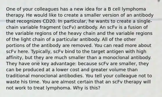 One of your colleagues has a new idea for a B cell lymphoma therapy. He would like to create a smaller version of an antibody that recognizes CD20. In particular, he wants to create a single-chain variable fragment (scFv) antibody. An scFv is a fusion of the variable regions of the heavy chain and the variable regions of the light chain of a particular antibody. All of the other portions of the antibody are removed. You can read more about scFv here. Typically, scFv bind to the target antigen with high affinity, but they are much smaller than a monoclonal antibody. They have one key advantage: because scFv are smaller, they can be produced at a lower cost and greater volume than traditional monoclonal antibodies. You tell your colleague not to waste his time. You are almost certain that an scFv therapy will not work to treat lymphoma. Why is this?