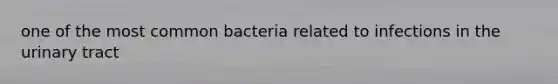 one of the most common bacteria related to infections in the urinary tract