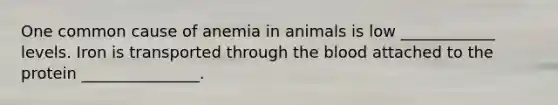 One common cause of anemia in animals is low ____________ levels. Iron is transported through the blood attached to the protein _______________.