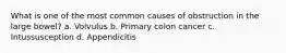 What is one of the most common causes of obstruction in the large bowel? a. Volvulus b. Primary colon cancer c. Intussusception d. Appendicitis