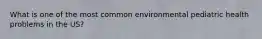 What is one of the most common environmental pediatric health problems in the US?