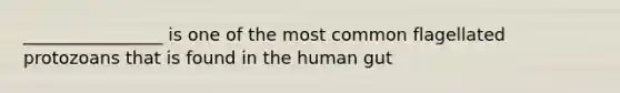 ________________ is one of the most common flagellated protozoans that is found in the human gut