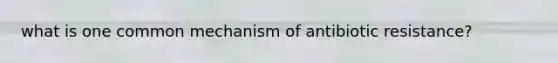 what is one common mechanism of antibiotic resistance?