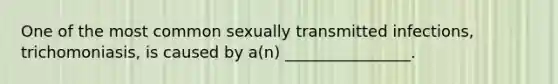 One of the most common sexually transmitted infections, trichomoniasis, is caused by a(n) ________________.