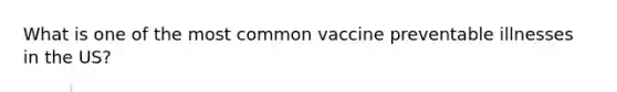 What is one of the most common vaccine preventable illnesses in the US?