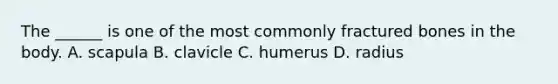 The ______ is one of the most commonly fractured bones in the body. A. scapula B. clavicle C. humerus D. radius