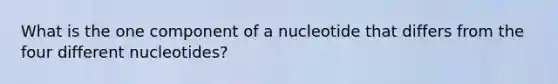 What is the one component of a nucleotide that differs from the four different nucleotides?