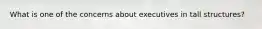 What is one of the concerns about executives in tall structures?
