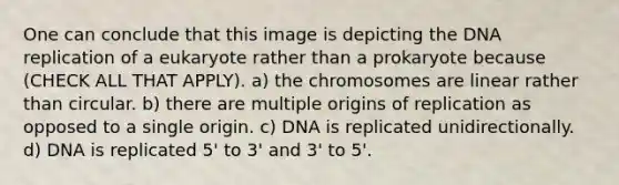 One can conclude that this image is depicting the DNA replication of a eukaryote rather than a prokaryote because (CHECK ALL THAT APPLY). a) the chromosomes are linear rather than circular. b) there are multiple origins of replication as opposed to a single origin. c) DNA is replicated unidirectionally. d) DNA is replicated 5' to 3' and 3' to 5'.