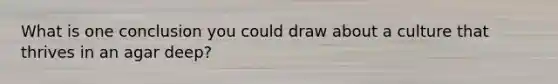 What is one conclusion you could draw about a culture that thrives in an agar deep?