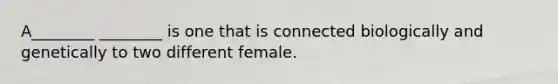 A________ ________ is one that is connected biologically and genetically to two different female.