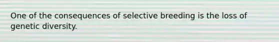 One of the consequences of selective breeding is the loss of genetic diversity.