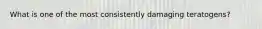 What is one of the most consistently damaging teratogens?