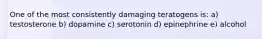 One of the most consistently damaging teratogens is: a) testosterone b) dopamine c) serotonin d) epinephrine e) alcohol