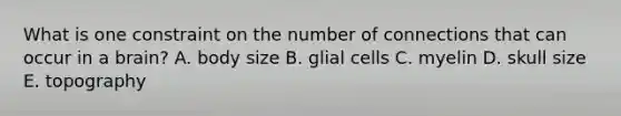 What is one constraint on the number of connections that can occur in a brain? A. body size B. glial cells C. myelin D. skull size E. topography