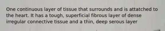 One continuous layer of tissue that surrounds and is attatched to the heart. It has a tough, superficial fibrous layer of dense irregular connective tissue and a thin, deep serous layer