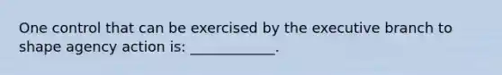 One control that can be exercised by the executive branch to shape agency action is: ____________.