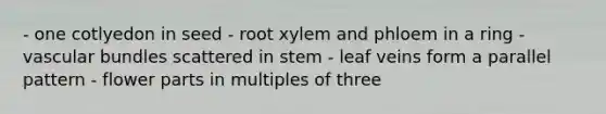 - one cotlyedon in seed - root xylem and phloem in a ring - vascular bundles scattered in stem - leaf veins form a parallel pattern - flower parts in multiples of three