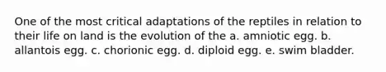 One of the most critical adaptations of the reptiles in relation to their <a href='https://www.questionai.com/knowledge/k9VzeMAjx8-life-on-land' class='anchor-knowledge'>life on land</a> is the evolution of the a. amniotic egg. b. allantois egg. c. chorionic egg. d. diploid egg. e. swim bladder.