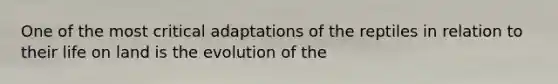 One of the most critical adaptations of the reptiles in relation to their <a href='https://www.questionai.com/knowledge/k9VzeMAjx8-life-on-land' class='anchor-knowledge'>life on land</a> is the evolution of the