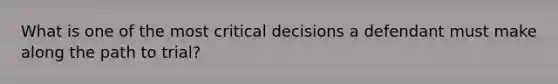 What is one of the most critical decisions a defendant must make along the path to trial?