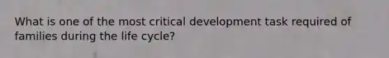 What is one of the most critical development task required of families during the life cycle?