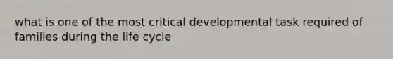 what is one of the most critical developmental task required of families during the life cycle