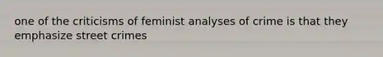 one of the criticisms of feminist analyses of crime is that they emphasize street crimes