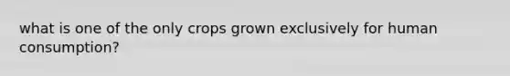 what is one of the only crops grown exclusively for human consumption?