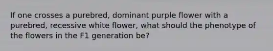 If one crosses a purebred, dominant purple flower with a purebred, recessive white flower, what should the phenotype of the flowers in the F1 generation be?