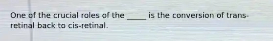 One of the crucial roles of the _____ is the conversion of trans-retinal back to cis-retinal.
