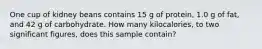 One cup of kidney beans contains 15 g of protein, 1.0 g of fat, and 42 g of carbohydrate. How many kilocalories, to two significant figures, does this sample contain?