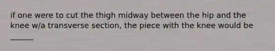 if one were to cut the thigh midway between the hip and the knee w/a transverse section, the piece with the knee would be ______