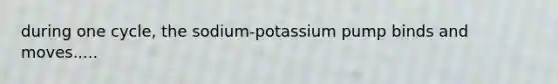 during one cycle, the sodium-potassium pump binds and moves.....