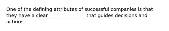 One of the defining attributes of successful companies is that they have a clear _______________ that guides decisions and actions.