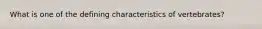 What is one of the defining characteristics of vertebrates?