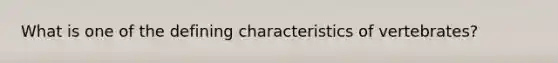 What is one of the defining characteristics of vertebrates?