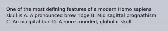 One of the most defining features of a modern Homo sapiens skull is A. A pronounced brow ridge B. Mid-sagittal prognathism C. An occipital bun D. A more rounded, globular skull