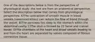 One of the descriptions below is from the perspective of physiological study, the rest are from an anatomical perspective. Select the description below that comes from physiological perspective. A)The contraction of smooth muscle in blood vessels (vasoconstriction) can reduce the flow of blood through the vessel. B)The pancreas lies deep to the stomach within the abdominal cavity. C)The skull is formed by 22 facial and cranial bones. D)The chambers of the heart and blood vessels leading to and from the heart are separated by valves composed of fibrous connective tissue.