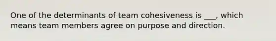 One of the determinants of team cohesiveness is ___, which means team members agree on purpose and direction.